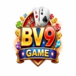 BV9 Game