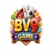 BV9 Game