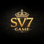 SV7 Game