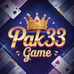 33PakGame