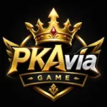 PKAvia Game